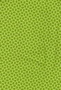 Revival Palm Green